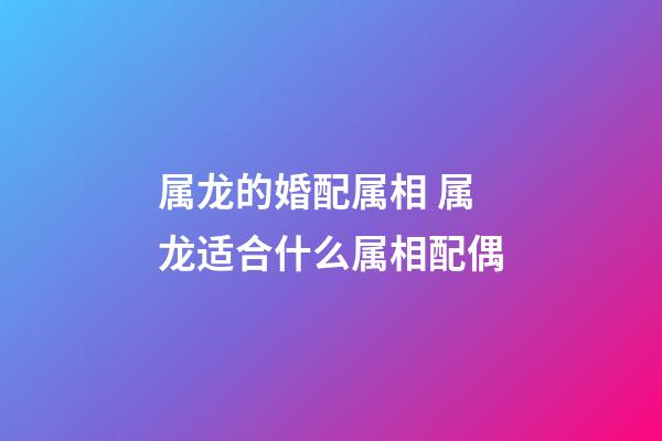 属龙的婚配属相 属龙适合什么属相配偶-第1张-观点-玄机派